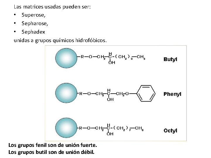 Las matrices usadas pueden ser: • Superose, • Sephadex unidas a grupos químicos hidrofóbicos.