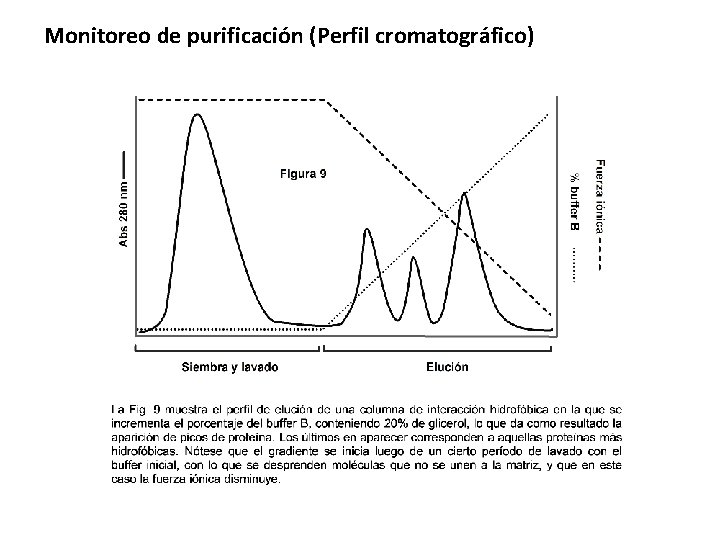 Monitoreo de purificación (Perfil cromatográfico) 