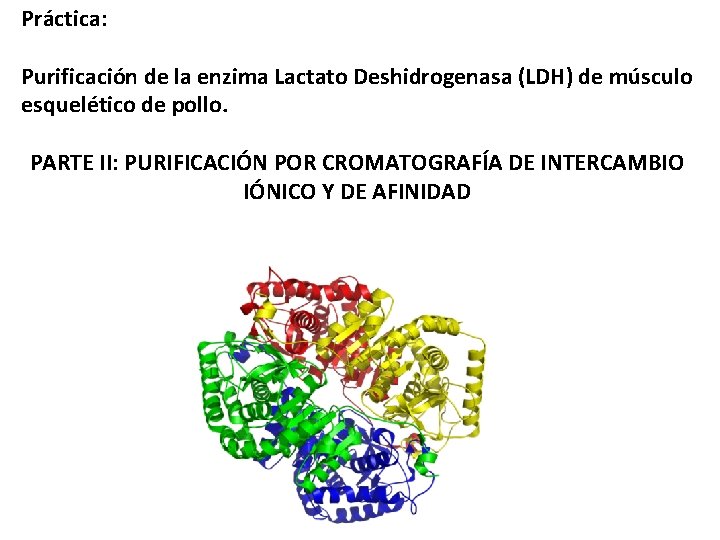 Práctica: Purificación de la enzima Lactato Deshidrogenasa (LDH) de músculo esquelético de pollo. PARTE