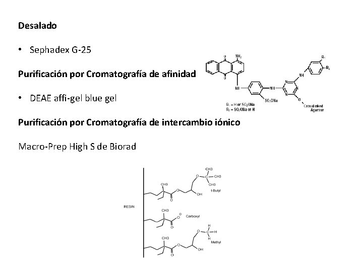 Desalado • Sephadex G-25 Purificación por Cromatografía de afinidad • DEAE affi-gel blue gel