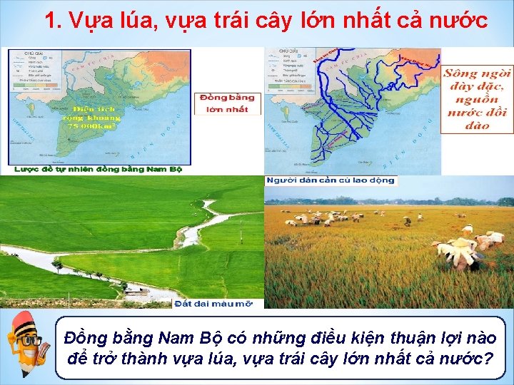 1. Vựa lúa, vựa trái cây lớn nhất cả nước Đồng bằng Nam Bộ