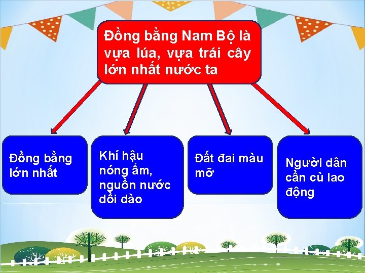 Đồng bằng Nam Bộ là vựa lúa, vựa trái cây lớn nhất nước ta