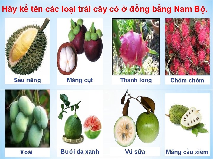 Hãy kể tên các loại trái cây có ở đồng bằng Nam Bộ. Sầu Hãy kể tên các loại trái cây có ở đồng bằng Nam Bộ. Sầu