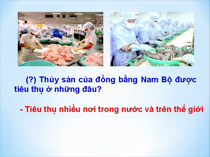 (? ) Thủy sản của đồng bằng Nam Bộ được tiêu thụ ở những