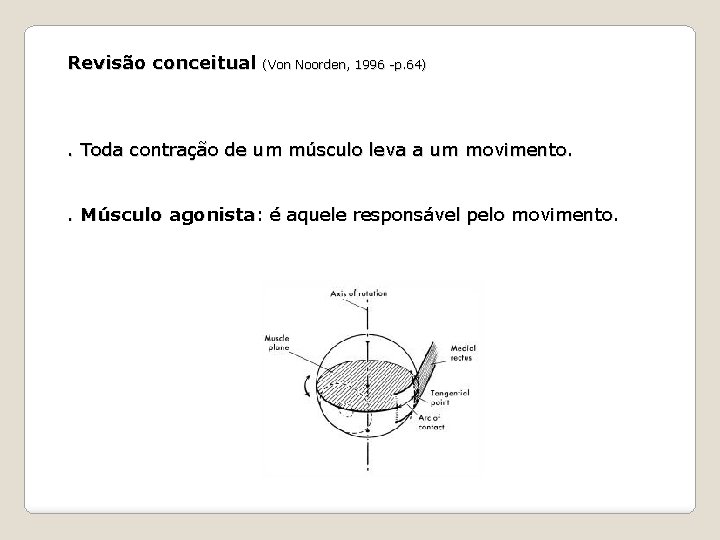 Revisão conceitual (Von Noorden, 1996 -p. 64) . Toda contração de um músculo leva