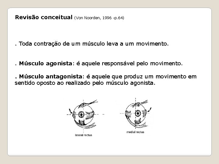 Revisão conceitual (Von Noorden, 1996 -p. 64) . Toda contração de um músculo leva