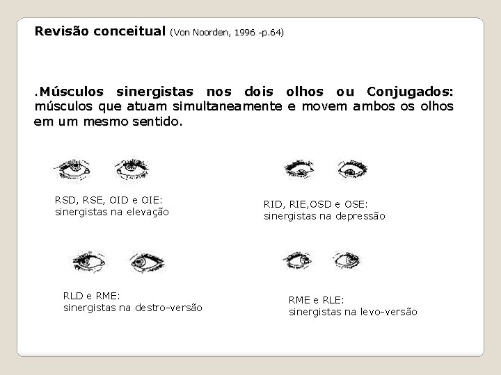 Revisão conceitual (Von Noorden, 1996 -p. 64) . Músculos sinergistas nos dois olhos ou