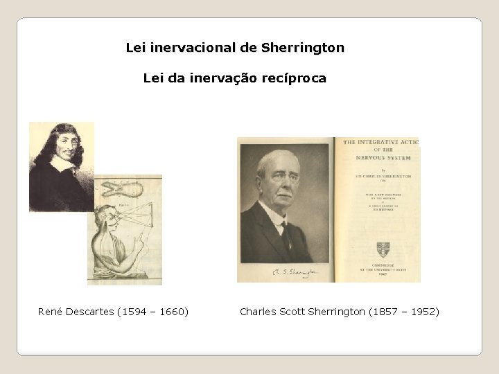 Lei inervacional de Sherrington Lei da inervação recíproca René Descartes (1594 – 1660) Charles