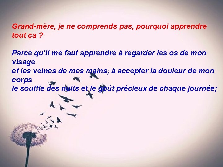 Grand-mère, je ne comprends pas, pourquoi apprendre tout ça ? Parce qu’il me faut