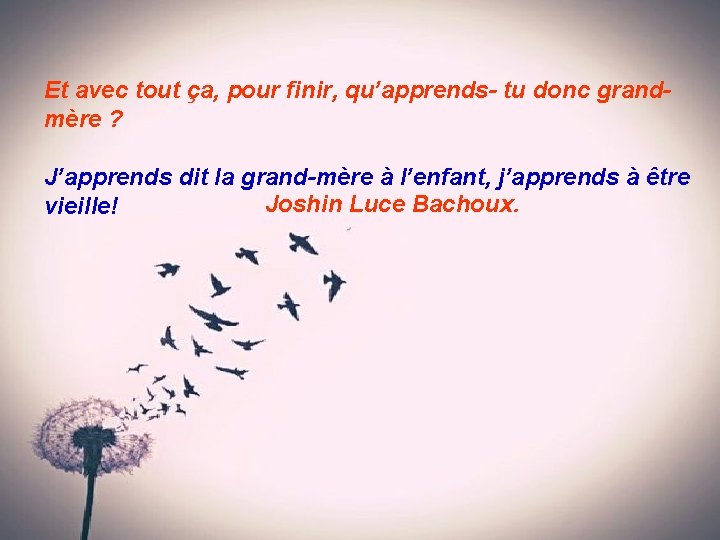 Et avec tout ça, pour finir, qu’apprends- tu donc grandmère ? J’apprends dit la