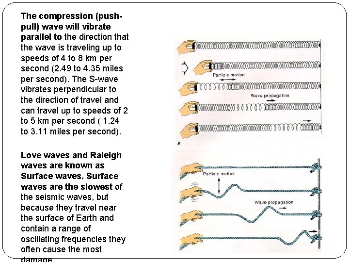 The compression (pushpull) wave will vibrate parallel to the direction that the wave is