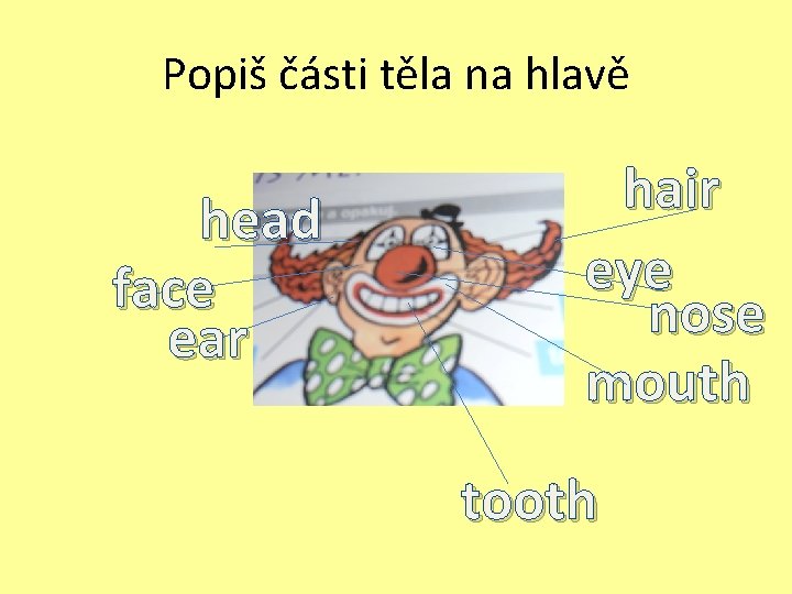 Popiš části těla na hlavě head face ear hair eye nose mouth tooth 