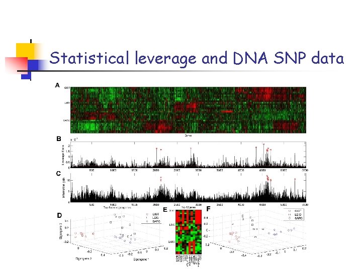 Statistical leverage and DNA SNP data 