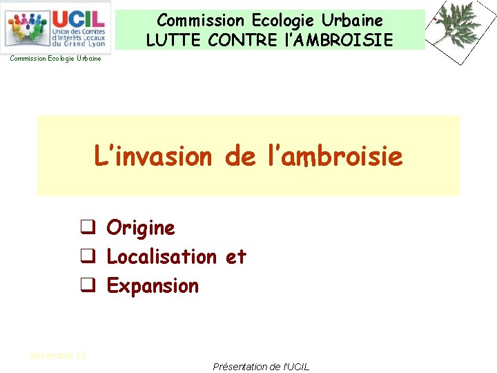 Commission Ecologie Urbaine LUTTE CONTRE l’AMBROISIE Commission Ecologie Urbaine L’invasion de l’ambroisie q Origine