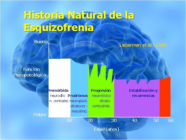Historia Natural de la Esquizofrenia Buena Lieberman et al. , 1996 Función Psicopatológica Pobre Historia Natural de la Esquizofrenia Buena Lieberman et al. , 1996 Función Psicopatológica Pobre