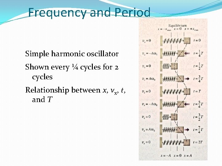 Frequency and Period Simple harmonic oscillator Shown every ¼ cycles for 2 cycles Relationship