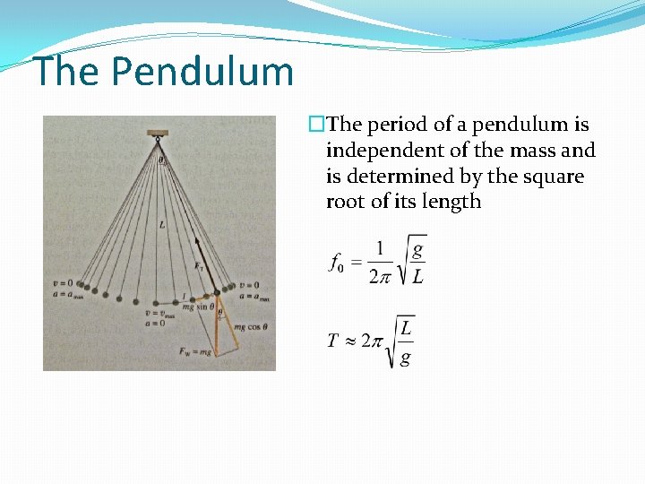 The Pendulum �The period of a pendulum is independent of the mass and is