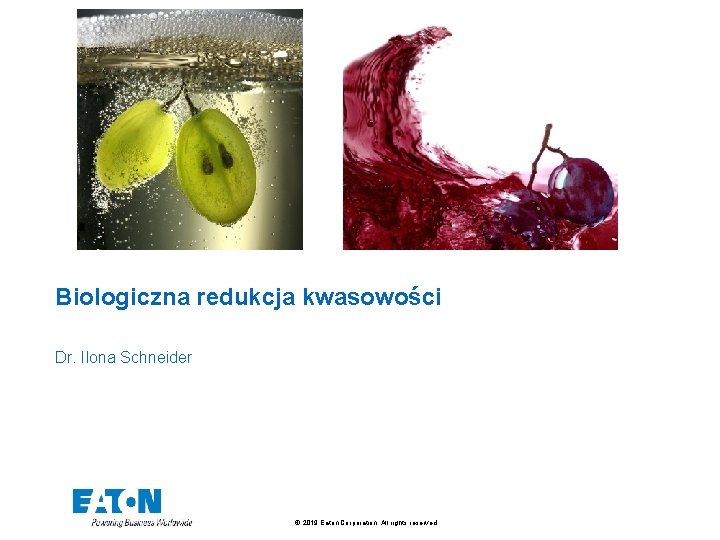 Biologiczna redukcja kwasowości Dr. Ilona Schneider © 2019 Eaton Corporation. All rights reserved. 