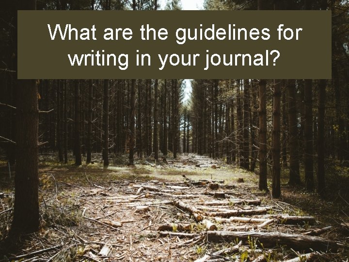 What are the guidelines for writing in your journal? 