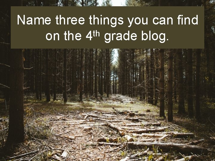 Name three things you can find on the 4 th grade blog. 