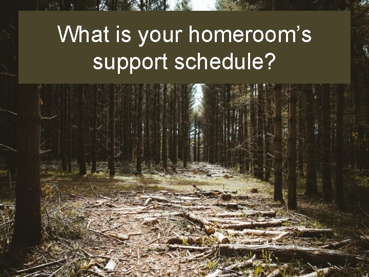 What is your homeroom’s support schedule? 