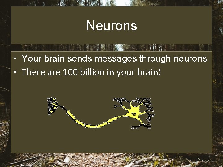 Neurons • Your brain sends messages through neurons • There are 100 billion in