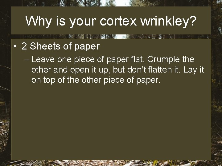 Why is your cortex wrinkley? • 2 Sheets of paper – Leave one piece