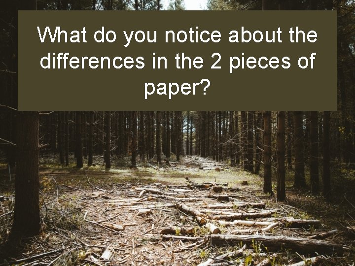 What do you notice about the differences in the 2 pieces of paper? 