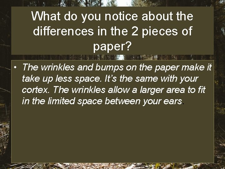 What do you notice about the differences in the 2 pieces of paper? •