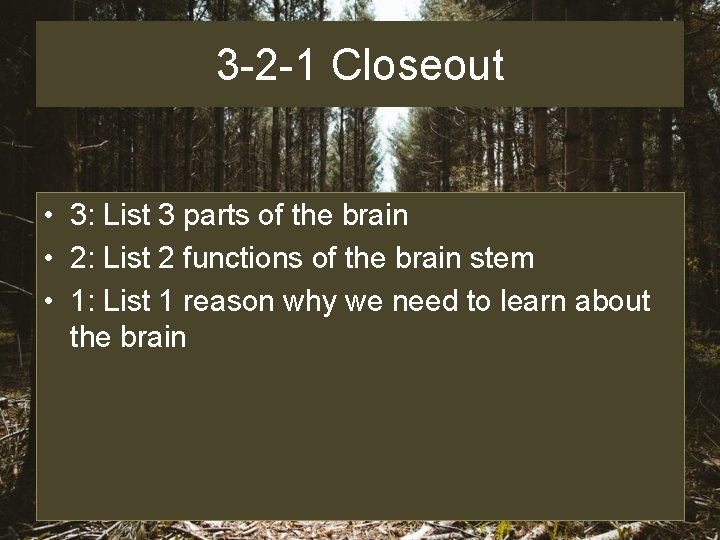 3 -2 -1 Closeout • 3: List 3 parts of the brain • 2: