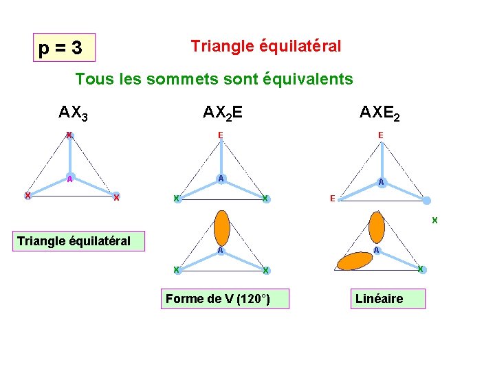 Triangle équilatéral p = 3 Tous les sommets sont équivalents AX 3 AXE 2