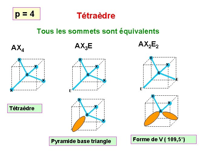 p = 4 Tétraèdre Tous les sommets sont équivalents AX 2 E 2 AX