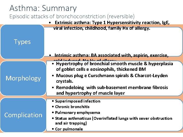 What is the pathophysiology of an acute attack of extrinsic asthma