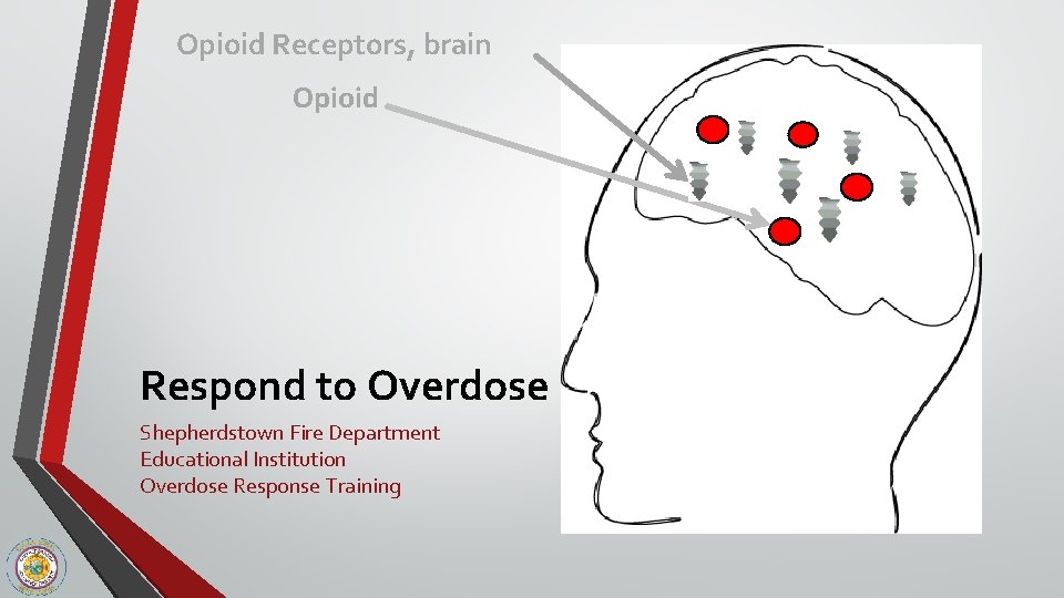 Opioid Receptors, brain Opioid Respond to Overdose Shepherdstown Fire Department Educational Institution Overdose Response