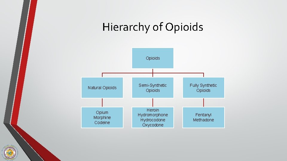 Hierarchy of Opioids Natural Opioids Semi-Synthetic Opioids Fully Synthetic Opioids Opium Morphine Codeine Heroin