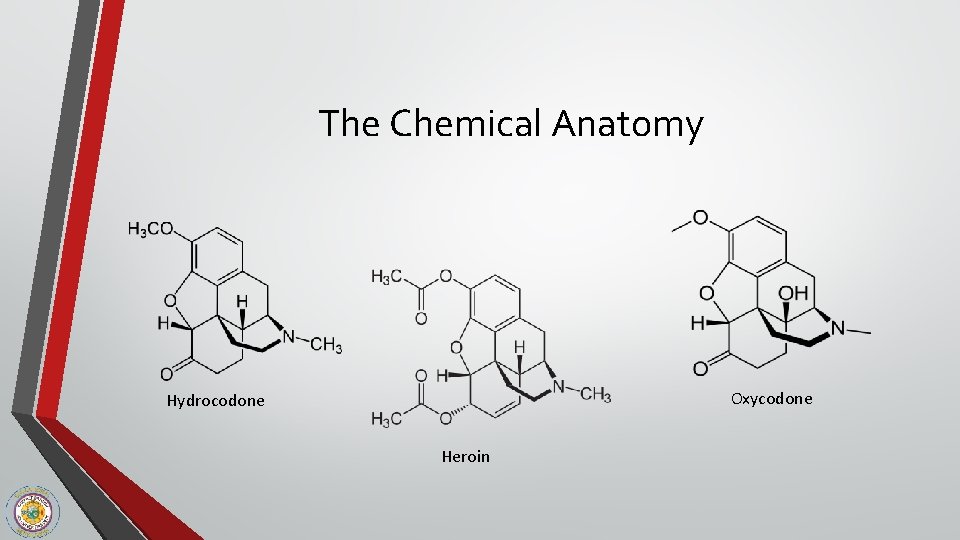 The Chemical Anatomy Oxycodone Hydrocodone Heroin 