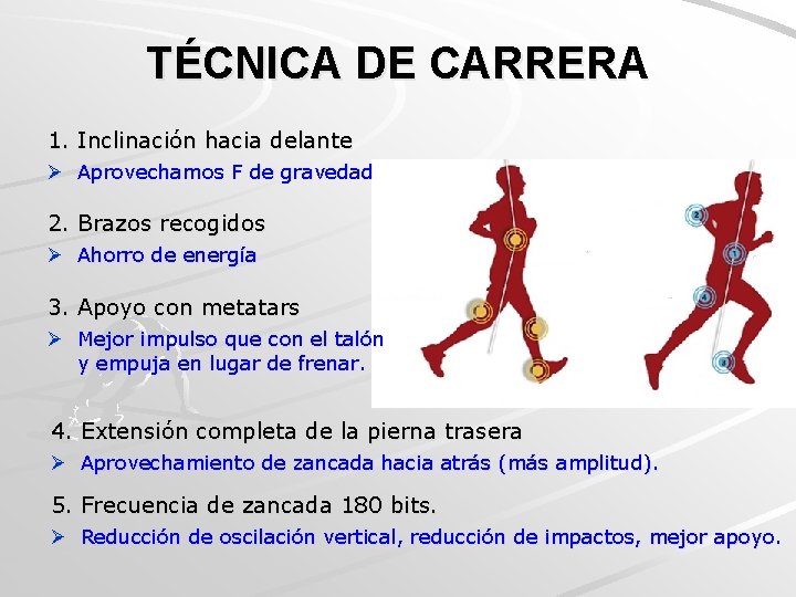 TÉCNICA DE CARRERA 1. Inclinación hacia delante Ø Aprovechamos F de gravedad 2. Brazos