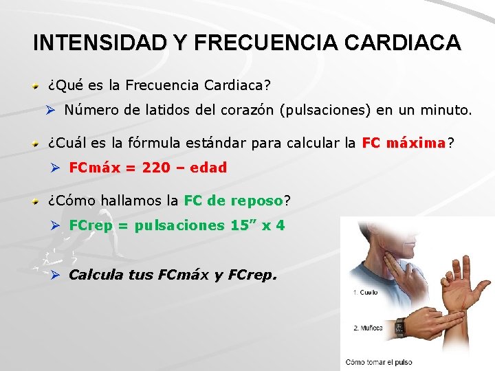 INTENSIDAD Y FRECUENCIA CARDIACA ¿Qué es la Frecuencia Cardiaca? Ø Número de latidos del