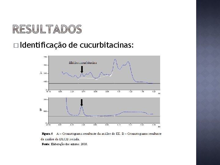 � Identificação de cucurbitacinas: Figura 5 Figura 4 Fonte: Elaboração dos autores. 2010. 