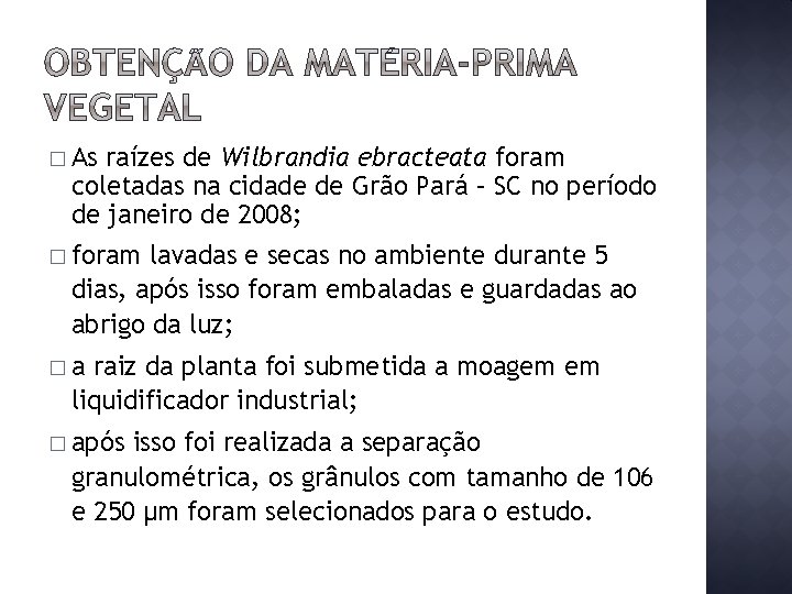 � As raízes de Wilbrandia ebracteata foram coletadas na cidade de Grão Pará –