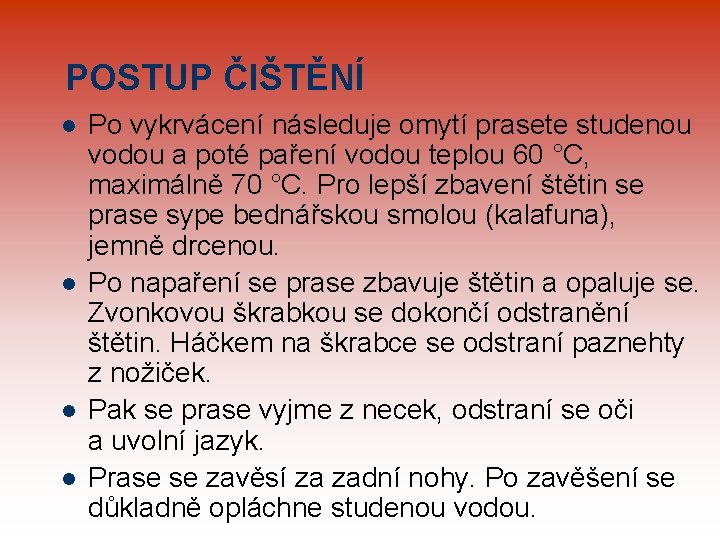 POSTUP ČIŠTĚNÍ l l Po vykrvácení následuje omytí prasete studenou vodou a poté paření