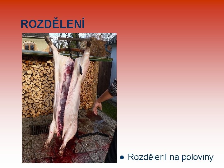 ROZDĚLENÍ l Rozdělení na poloviny 