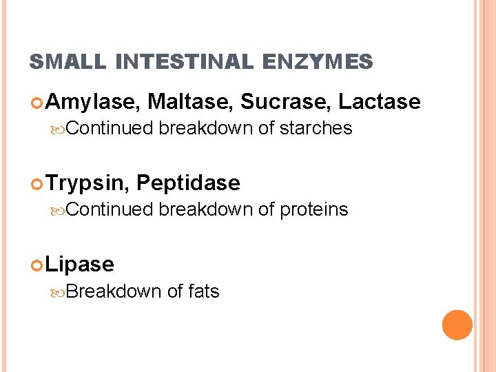 SMALL INTESTINAL ENZYMES Amylase, Maltase, Sucrase, Lactase Continued Trypsin, breakdown of starches Peptidase Continued