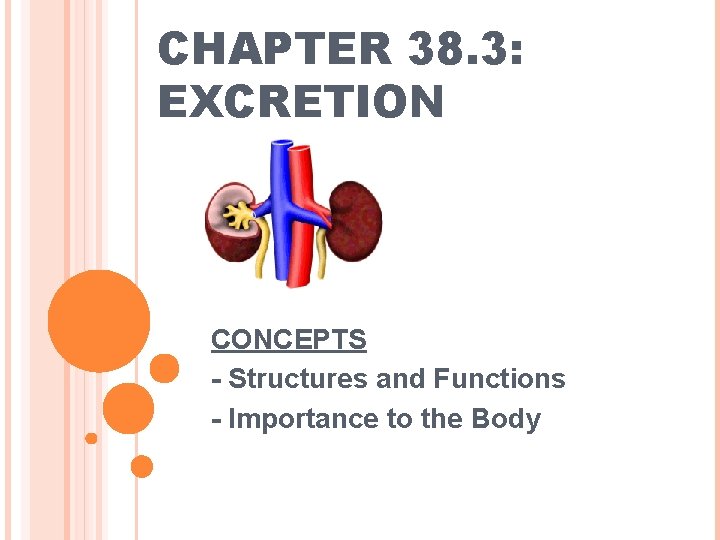 CHAPTER 38. 3: EXCRETION CONCEPTS - Structures and Functions - Importance to the Body