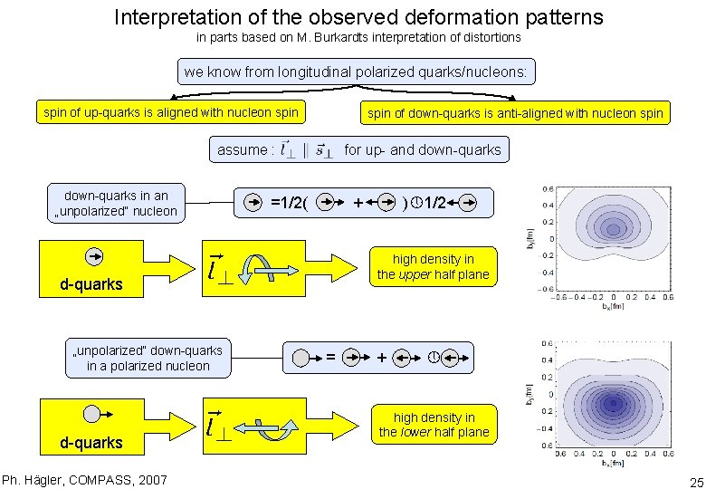 Interpretation of the observed deformation patterns in parts based on M. Burkardts interpretation of