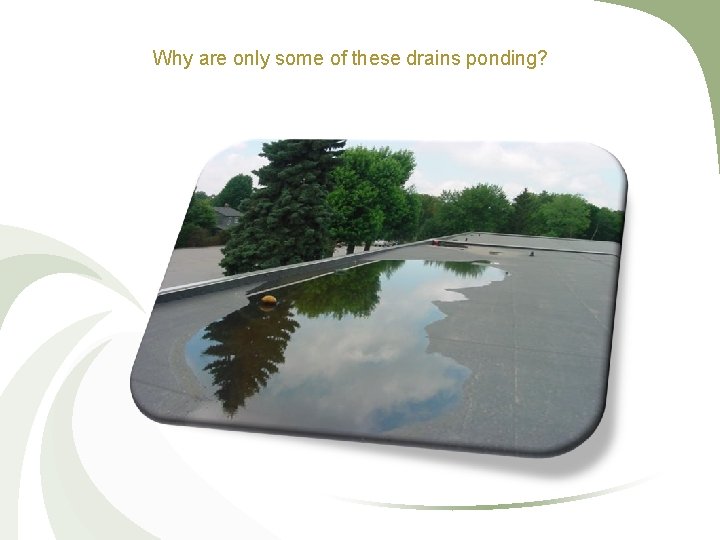 Why are only some of these drains ponding? 