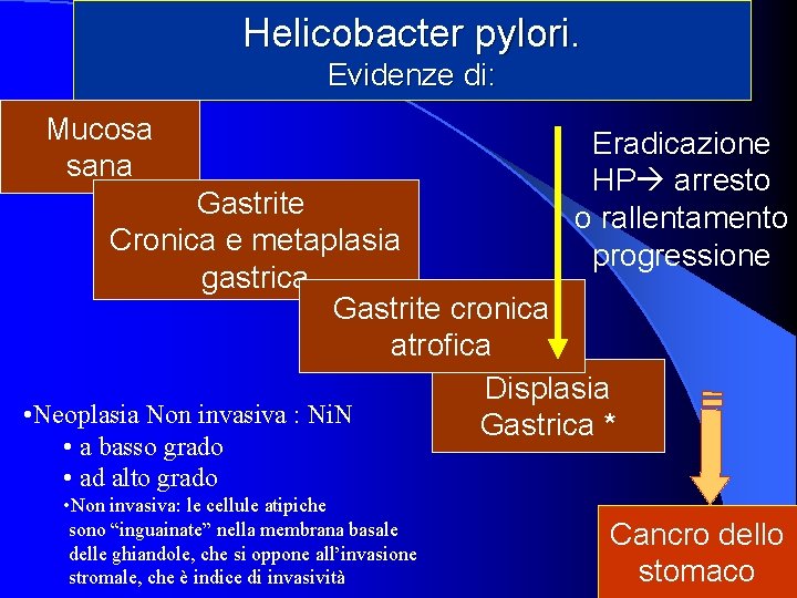 Helicobacter pylori. Evidenze di: Mucosa sana Eradicazione HP arresto o rallentamento progressione Gastrite Cronica