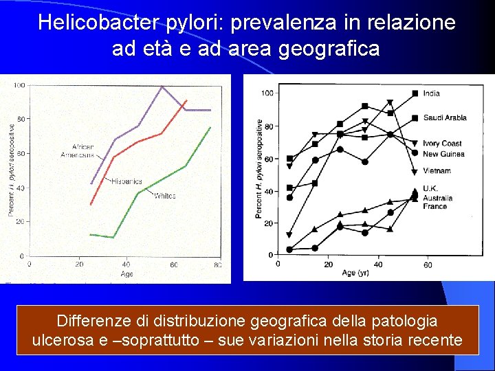 Helicobacter pylori: prevalenza in relazione ad età e ad area geografica Differenze di distribuzione