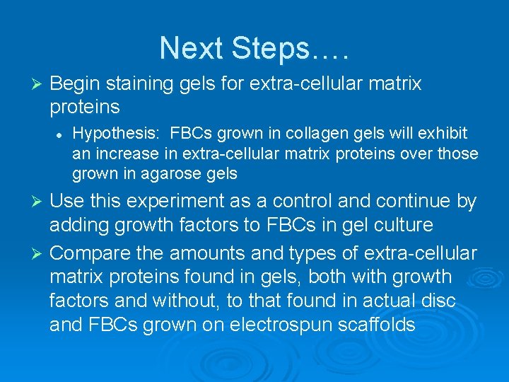 Next Steps…. Ø Begin staining gels for extra-cellular matrix proteins l Hypothesis: FBCs grown
