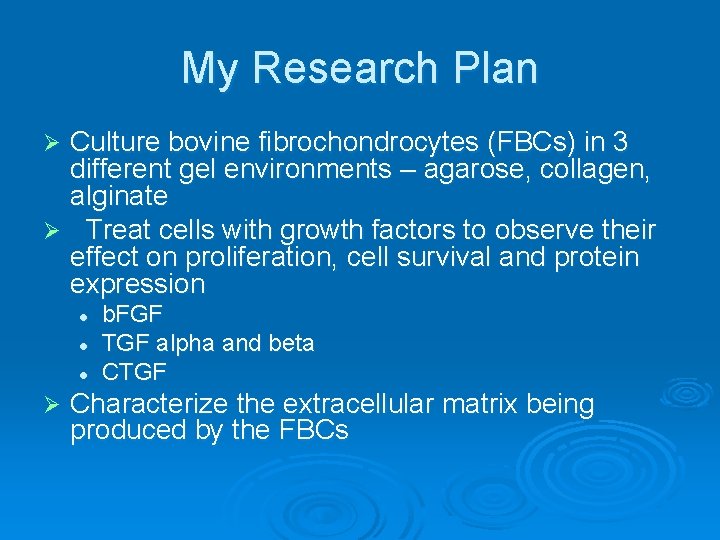 My Research Plan Culture bovine fibrochondrocytes (FBCs) in 3 different gel environments – agarose,